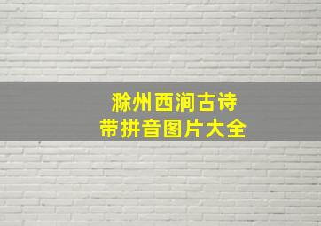 滁州西涧古诗带拼音图片大全