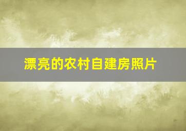 漂亮的农村自建房照片