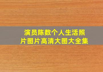 演员陈数个人生活照片图片高清大图大全集