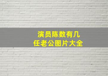 演员陈数有几任老公图片大全