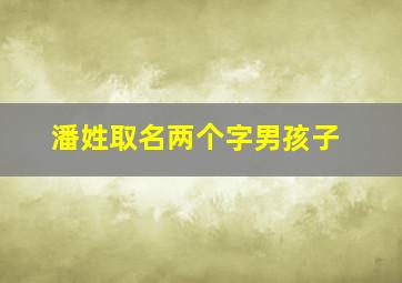 潘姓取名两个字男孩子