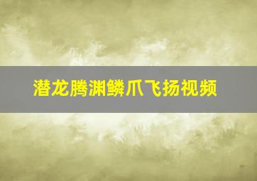 潜龙腾渊鳞爪飞扬视频