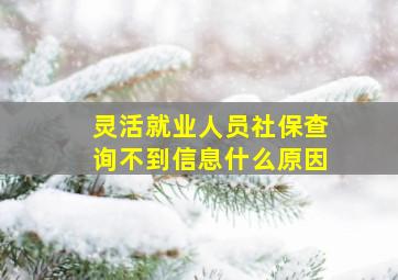 灵活就业人员社保查询不到信息什么原因