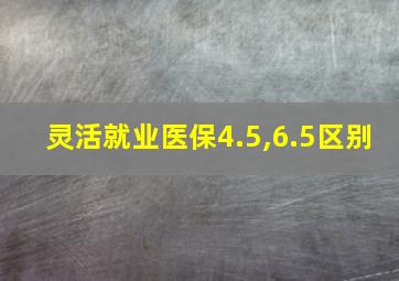 灵活就业医保4.5,6.5区别