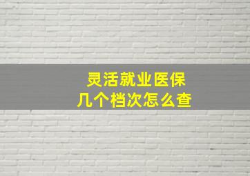 灵活就业医保几个档次怎么查