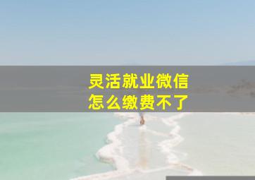 灵活就业微信怎么缴费不了