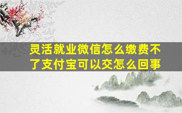 灵活就业微信怎么缴费不了支付宝可以交怎么回事