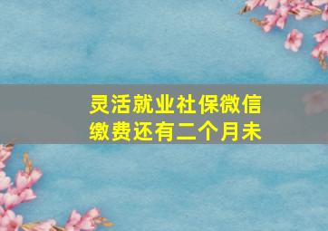 灵活就业社保微信缴费还有二个月未