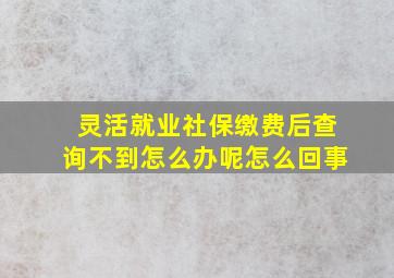 灵活就业社保缴费后查询不到怎么办呢怎么回事