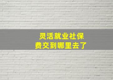 灵活就业社保费交到哪里去了