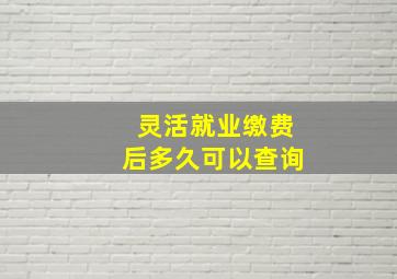 灵活就业缴费后多久可以查询