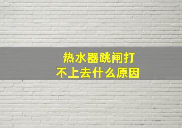 热水器跳闸打不上去什么原因