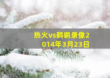 热火vs鹈鹕录像2014年3月23日