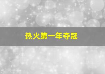 热火第一年夺冠