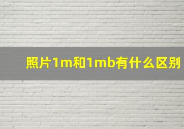 照片1m和1mb有什么区别