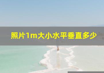 照片1m大小水平垂直多少