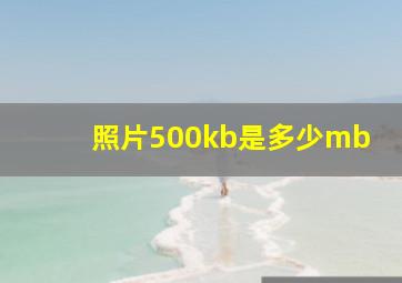 照片500kb是多少mb