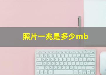 照片一兆是多少mb