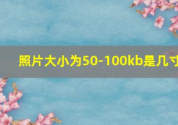 照片大小为50-100kb是几寸