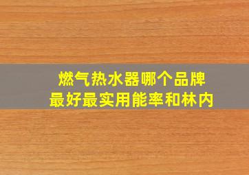 燃气热水器哪个品牌最好最实用能率和林内