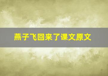 燕子飞回来了课文原文