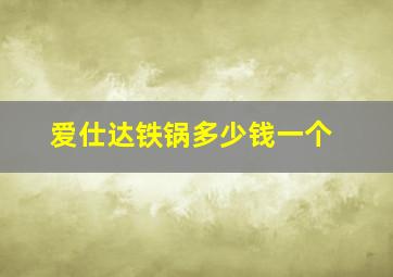 爱仕达铁锅多少钱一个