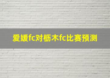 爱媛fc对枥木fc比赛预测