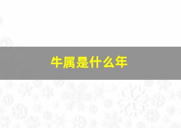 牛属是什么年