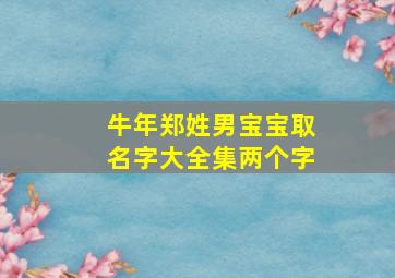 牛年郑姓男宝宝取名字大全集两个字