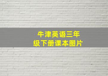 牛津英语三年级下册课本图片