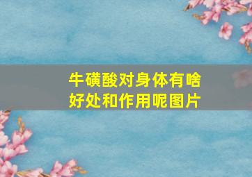 牛磺酸对身体有啥好处和作用呢图片