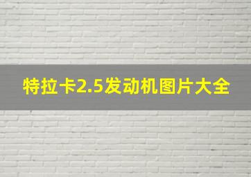 特拉卡2.5发动机图片大全