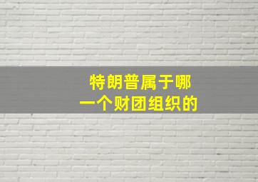 特朗普属于哪一个财团组织的