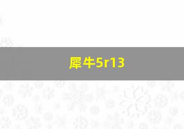 犀牛5r13