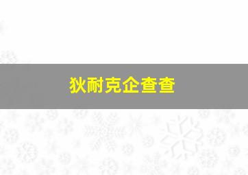 狄耐克企查查