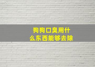 狗狗口臭用什么东西能够去除