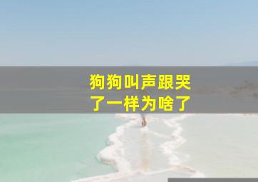 狗狗叫声跟哭了一样为啥了