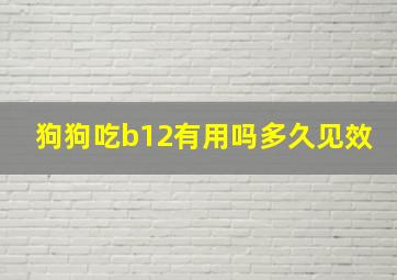 狗狗吃b12有用吗多久见效