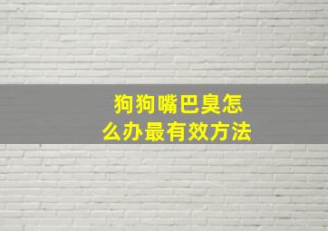 狗狗嘴巴臭怎么办最有效方法