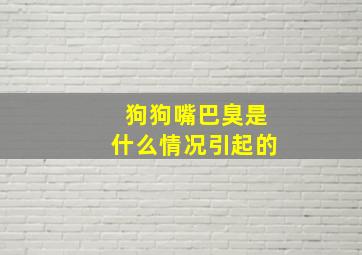 狗狗嘴巴臭是什么情况引起的