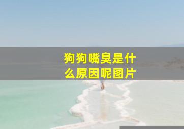 狗狗嘴臭是什么原因呢图片