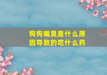 狗狗嘴臭是什么原因导致的吃什么药