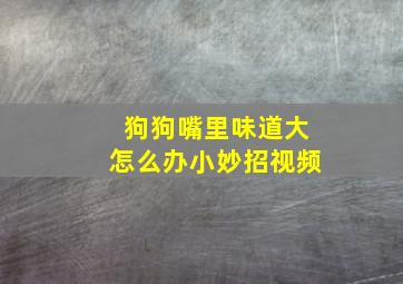 狗狗嘴里味道大怎么办小妙招视频