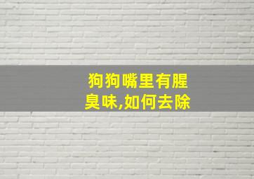 狗狗嘴里有腥臭味,如何去除