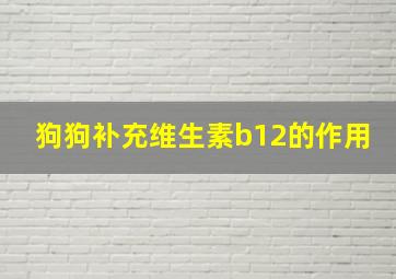 狗狗补充维生素b12的作用