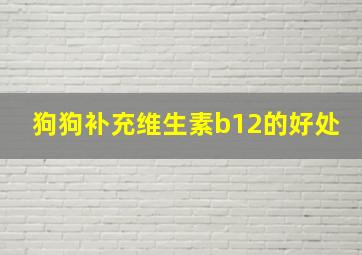 狗狗补充维生素b12的好处