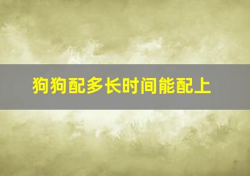 狗狗配多长时间能配上