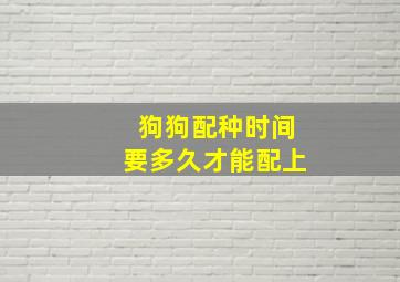 狗狗配种时间要多久才能配上