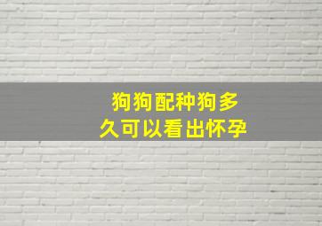 狗狗配种狗多久可以看出怀孕