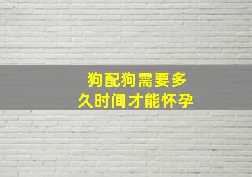 狗配狗需要多久时间才能怀孕